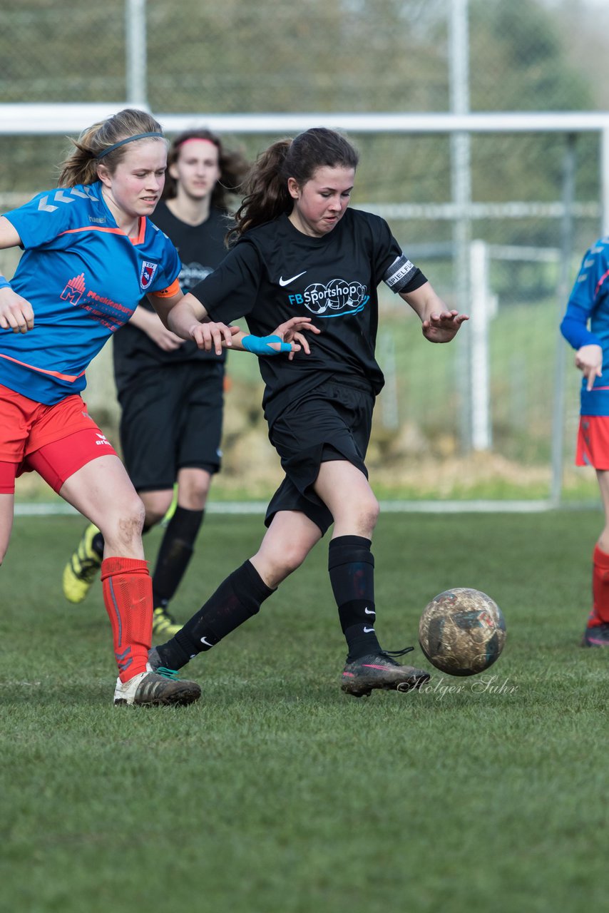 Bild 135 - C-Juniorinnen SV Steinhorst/Labenz - TSV Friedrichsberg-Busdorf : Ergebnis: 5:0